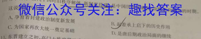 天一大联考2023-2024学年高中毕业班阶段性测试（二）历史