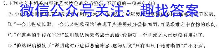 江西省2024届九年级初中目标考点测评（十三）语文