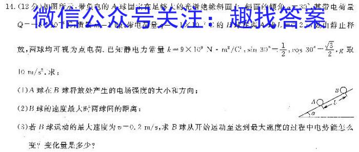 陕西省2023-2024学年度第一学期九年级调研检测（L）f物理