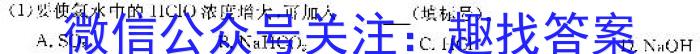 q江西省2024届九年级第三次阶段适应性评估化学