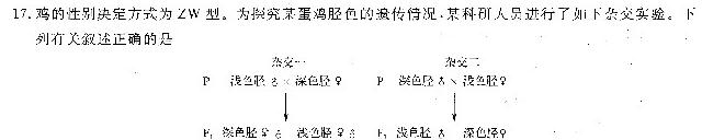 九师联盟2024届高三10月质量检测巩固卷LG生物