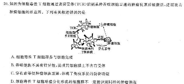 安徽省合肥市2024届九年级第一学期11月份阶段练习（11月）生物