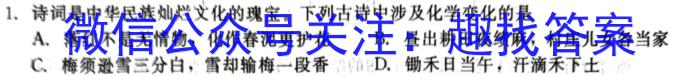 q安徽省滁州市天长市2023-2024学年度（上）八年级第二次质量检测化学