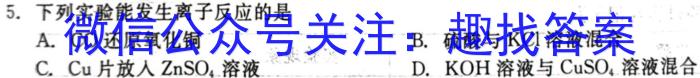 j新高中创新联盟TOP二十名校2023-2024学年高一上学期11月调研考试化学
