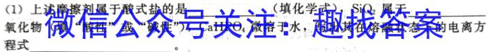 q河南省九年级2023-2024学年度综合素养评估（二）【R-PGZX C HEN】化学