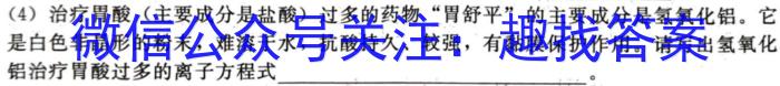 q安徽省2023-2024学年度九年级第二次综合性作业设计化学