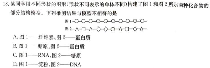 天一大联考 2023-2024 学年(上)南阳六校高二年级期中考试生物