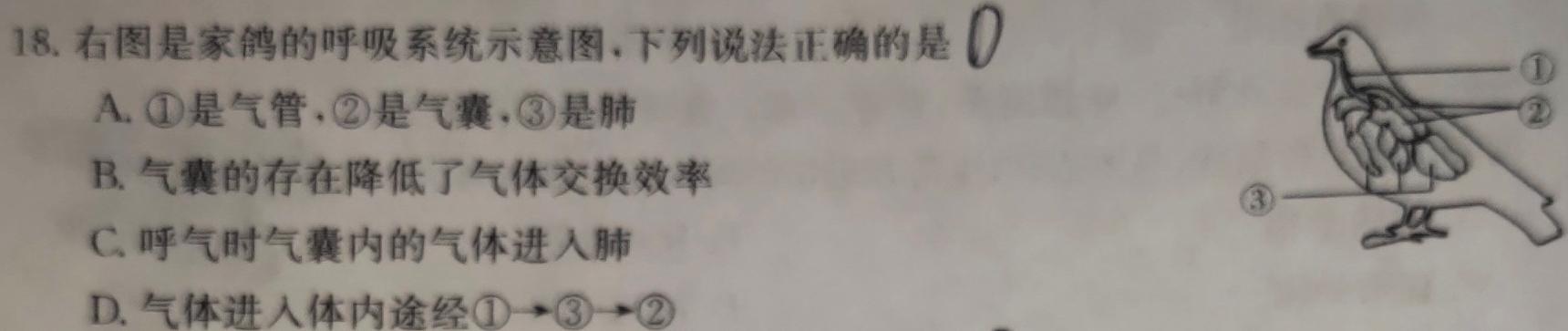 天一大联考 2023-2024学年安徽高二(上)期中考试 皖豫名校联盟&安徽卓越县中联盟生物