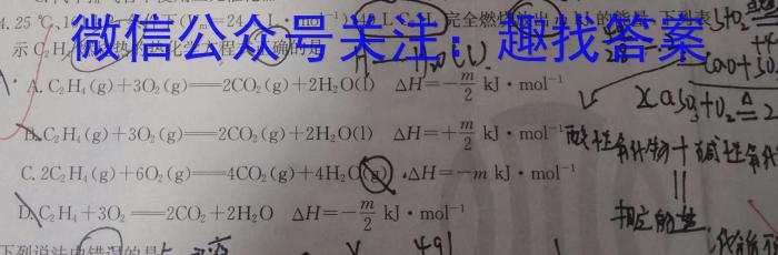 q［甘肃大联考］甘肃省2023-2024学年高一年级期中检测（11月）化学