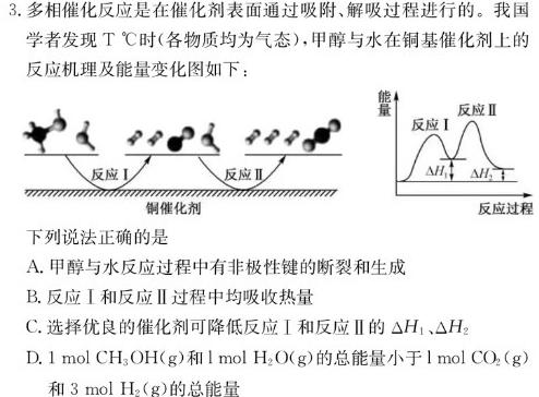 【热荐】［甘肃大联考］甘肃省2023-2024学年高一年级期中检测（11月）化学