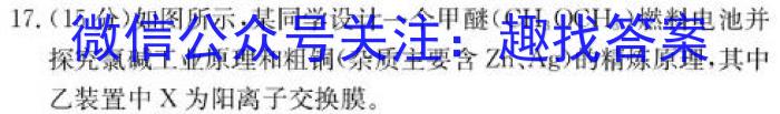 q陕西省2023-2024学年度第一学期九年级期中检测（E）化学