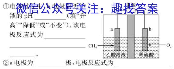 q安徽省2023-2024学年度八年级阶段诊断[PGZX F-AH(二)]化学