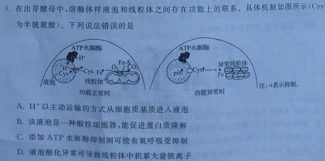 安徽省霍邱县2023-2024学年度九年级第一学期期中考试生物