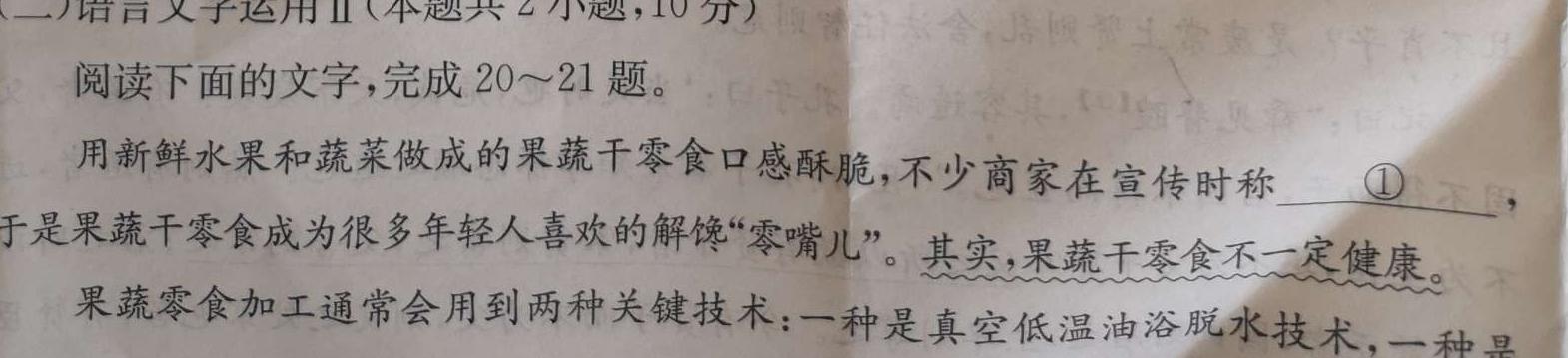 广东省2024届湛江市普通高中毕业班调研测试(24-105C)语文