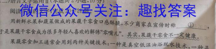 江西省2024届九年级第二次阶段适应性评估【R-PGZX A-JX】/语文