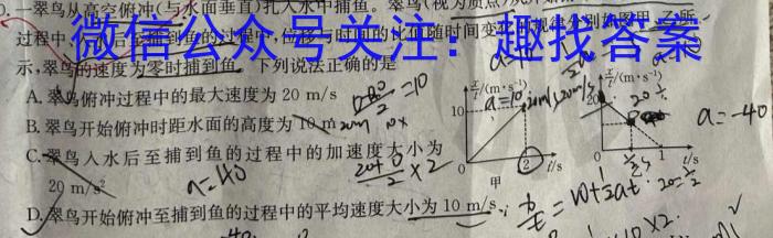 2023年秋季鄂东南省级示范高中教育教学改革联盟学校高三期中联考物理`