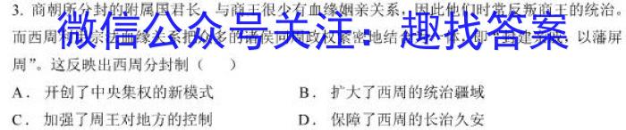 江西省2024届九年级初中目标考点测评（十二）历史