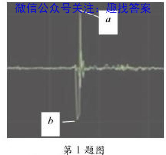 乌鲁木齐市2024届高三年级第一次质量监测物理`