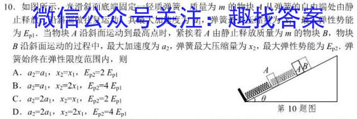 ѧ202411´(¿α)xԾ