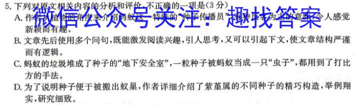 河南省2023-2024学年第一学期七年级第一次月考(X)/语文