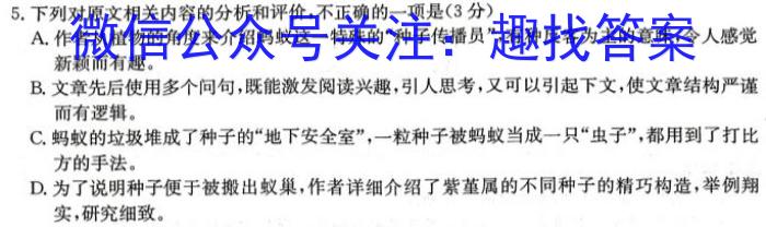 [今日更新]安徽省2023-2024学年度七年级上学期期中综合评估【2LR】语文