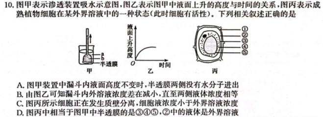 衡水金卷先享题2023-2024学年度高三一轮复习夯基卷(贵州专版)二生物