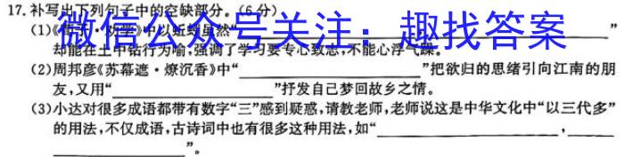 江西省2023-2024学年度九年级期中练习(二)语文