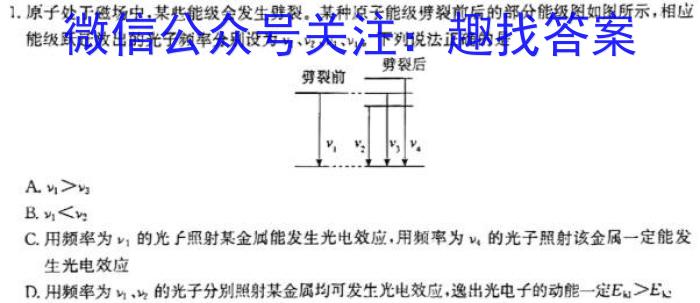 山西省大同市平城区2024届九年级上学期期中考试l物理
