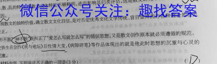 陕西省2023-2024学年度第一学期九年级阶段调研检测（QN）语文