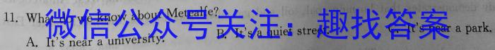 河南省2023-2024学年度七年级上学期期中综合评估【2LR】英语