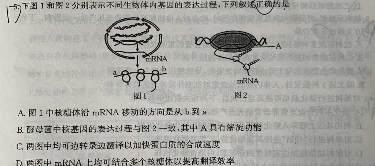 江西省2024届九年级期中考试11月联考生物