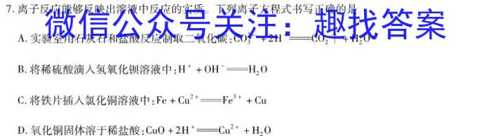 b河南省新高中创新联盟TOP二十名校高一年级11 月调研考试(241100D)化学