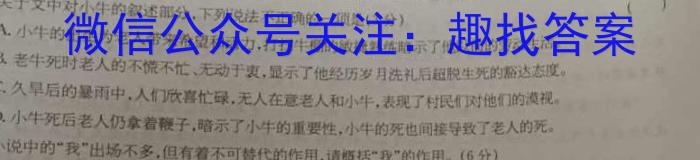 [今日更新]普高联考2023-2024学年高三测评(三)语文