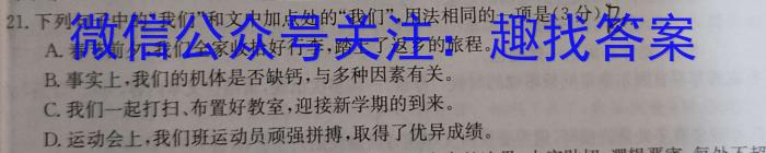 衡水金卷先享题2023-2024学年度高三一轮复习摸底测试卷摸底卷(山东专版)二/语文