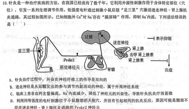 天一大联考 顶尖联盟 2023-2024学年高三秋季期中检测(11月)生物