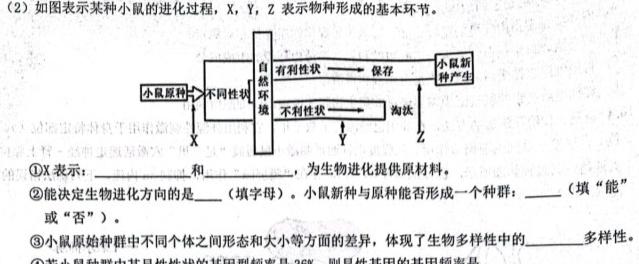 吉林省"通化优质高中联盟”2023~2024学年度高二上学期期中考试(24-103B)生物