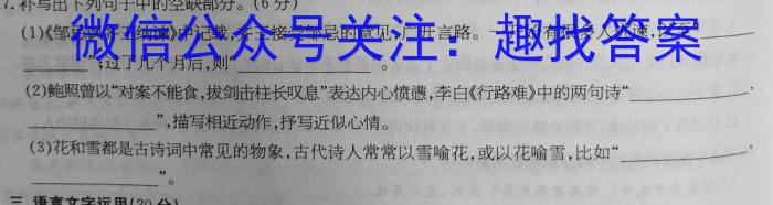 陕西省2023~2024学年度九年级第一学期期中阶段测试卷语文