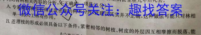 湖南省2024届高三年级上学期期中联考（11月）/语文