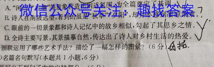 [今日更新]安徽省2023-2024学年度第一学期九年级作业辅导练习（二）语文