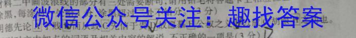 河南省2023-2024学年度上学期九年级期中教学质量监测/语文