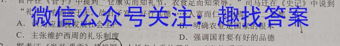 安徽省合肥市某校2023-2024学年九年级阶段检测历史试卷答案