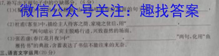 安徽省淮北市2023-2024学年度九年级11月期中考试联考/语文