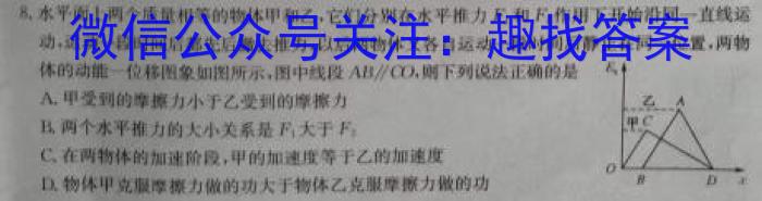广东省2023~2024学年高二10月联考(24-74B)l物理