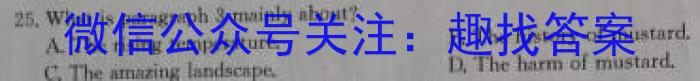 安徽省2023-2024学年度八年级上学期期中综合评估【2LR】英语