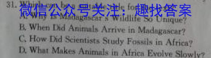 安徽省2023-2024学年度九年级上学期期中调研考试英语