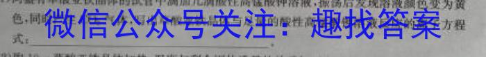 3安徽第一卷·2023-2024学年安徽省九年级教学质量检测(12月)化学试题