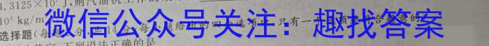 江西省2024届高三10月联考（10.30）q物理