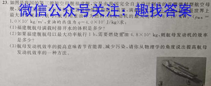 安徽省2023-2024学年度第一学期九年级期中素质教育评估试卷f物理