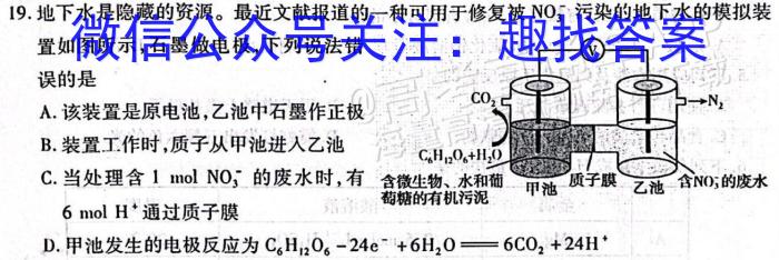 3河南省2023-2024学年新乡市高三第一次模拟考试化学试题