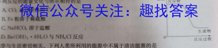 j河南省九年级2023-2024学年度综合素养评估（二）【R-PGZX C HEN】化学